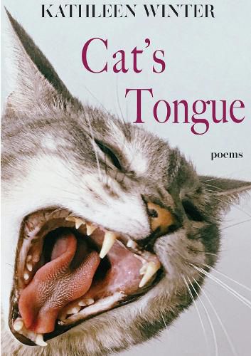 Cover image for Cat's Tongue: Poems