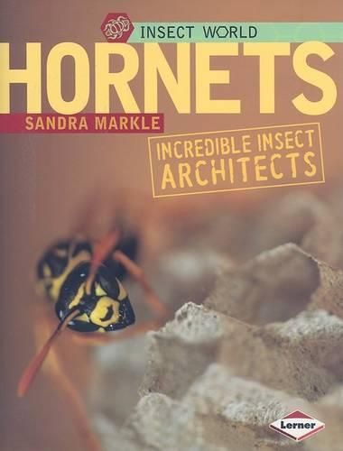 Hornets: Incredible Insect Architects