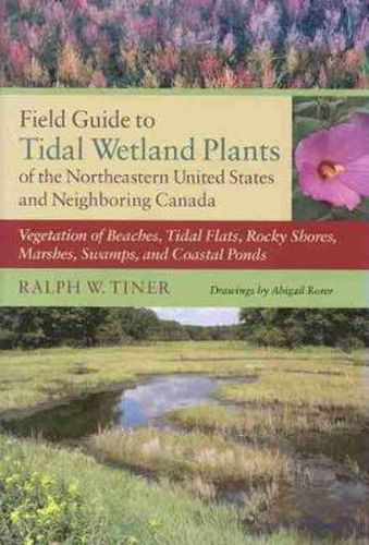 Cover image for Field Guide to Tidal Wetland Plants of the Northeastern United States and Neighboring Canada: Vegetation of Beaches, Tidal Flats, Rocky Shores, Marshes, Swamps, and Coastal Ponds