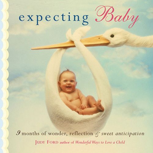 Cover image for Expecting Baby: Nine Months of Wonder, Reflection and Sweet Anticipation (Pregnancy Book, First Time Mom)