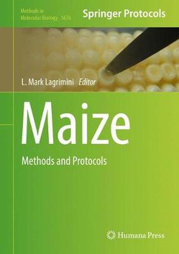 Cover image for Maize: Methods and Protocols