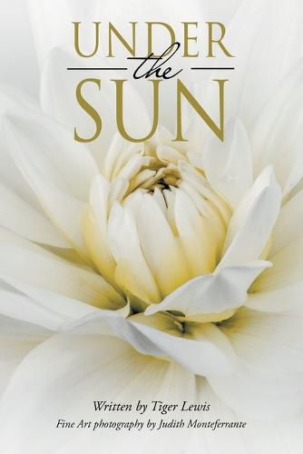 Cover image for Under the Sun