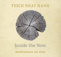 Cover image for Inside the Now: Meditations on Time