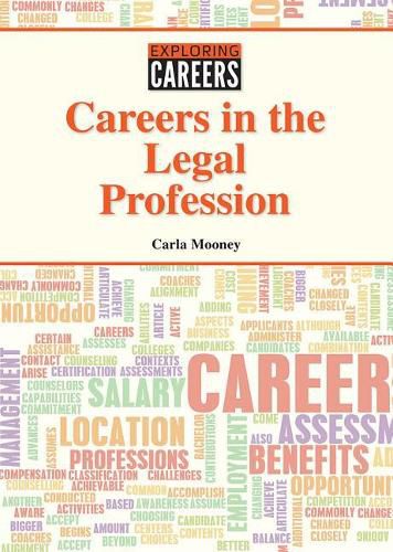 Cover image for Careers in the Legal Profession