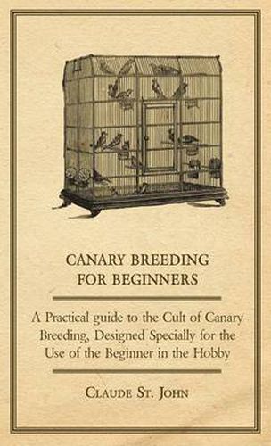 Cover image for Canary Breeding for Beginners - A Practical Guide to the Cult of Canary Breeding, Designed Specially for the Use of the Beginner in the Hobby.