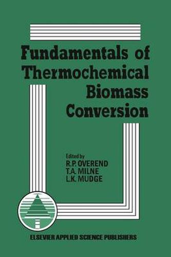Cover image for Fundamentals of Thermochemical Biomass Conversion