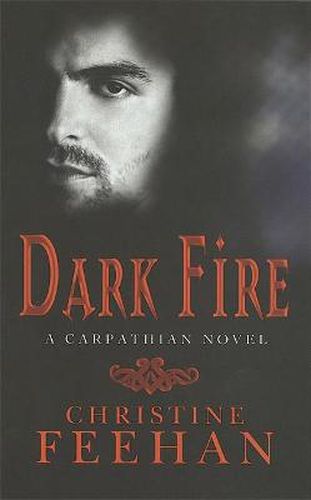 Cover image for Dark Fire: Number 6 in series