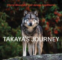 Cover image for Takaya's Journey