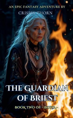 Cover image for The Guardian of Briest