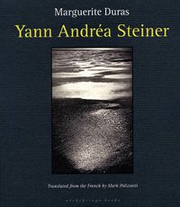 Cover image for Yann Andrea Steiner