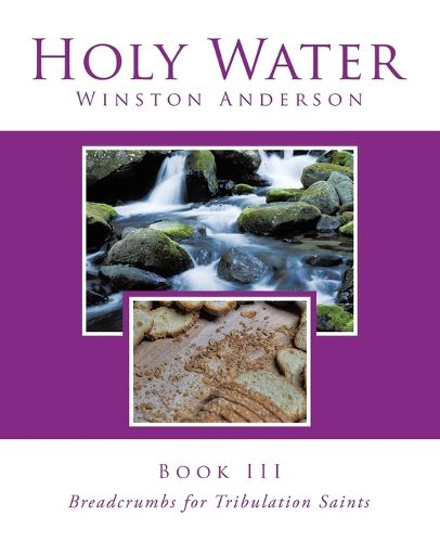 Cover image for Holy Water Book III