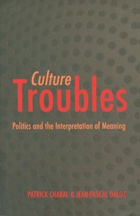 Cover image for Culture Troubles: Politics and the Interpretation of Meaning