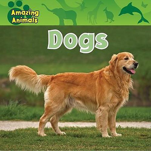 Cover image for Dogs