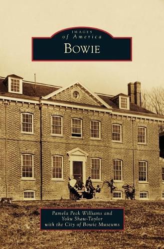 Cover image for Bowie