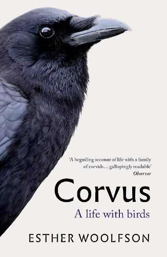 Cover image for Corvus: A Life With Birds