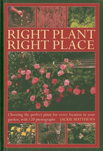 Right Plant Right Place: Choosing the Perfect Plant for Every Location in Your Garden, with 120 Photographs