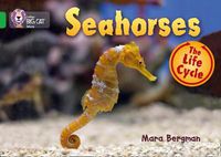Cover image for Seahorses: Band 05/Green