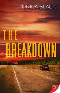 Cover image for The Breakdown