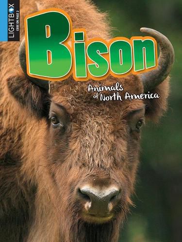 Cover image for Bison