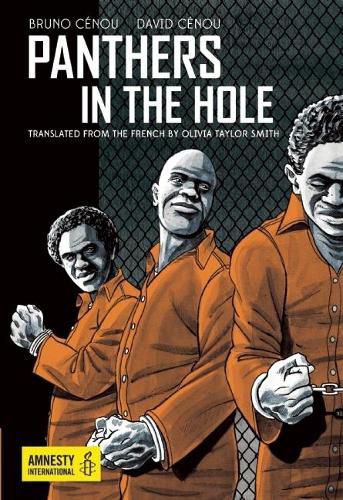 Cover image for Panthers in the Hole