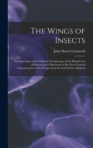 The Wings of Insects