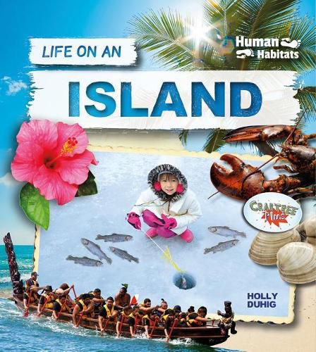 Cover image for Life on an Island