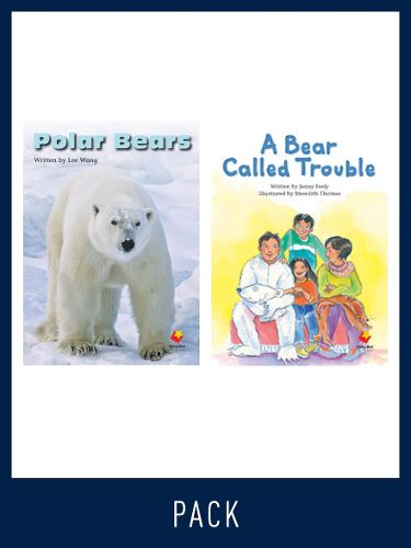 Cover image for Flying Start Guided Reading Level 19, Pack 4: Paired student books (6x6) and lesson plan (1)