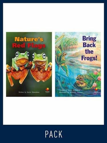 Cover image for Flying Start Guided Reading Level 27, Pack 3: Paired student books (6x6) and lesson plan (1)