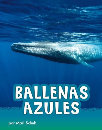 Cover image for Ballenas Azules