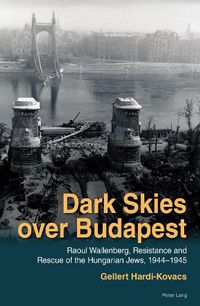 Cover image for Dark Skies over Budapest