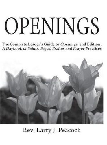 Cover image for Openings Leader Guide 2/E