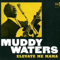 Cover image for Elevate Me Mama