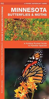 Cover image for Minnesota Butterflies & Moths: A Folding Pocket Guide to Familiar Species