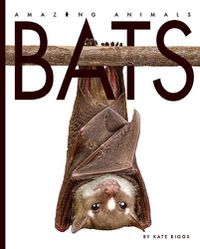 Cover image for Amazing Animals: Bats