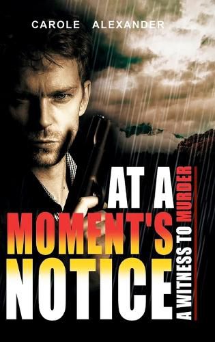 Cover image for At a Moment's Notice