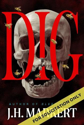 Cover image for Dig