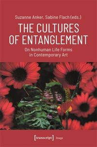 Cover image for The Cultures of Entanglement