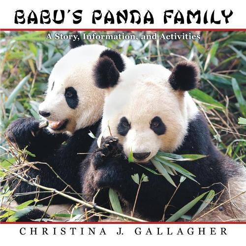 Cover image for Babu's Panda Family: A Story, Information, and Activities