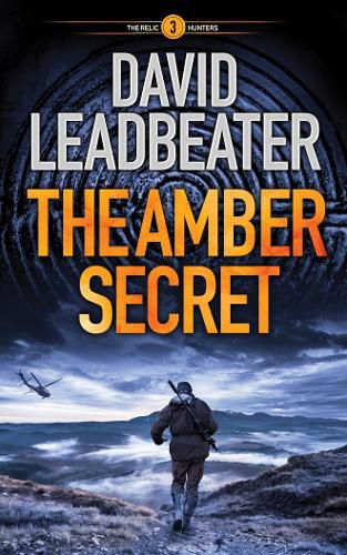 Cover image for The Amber Secret