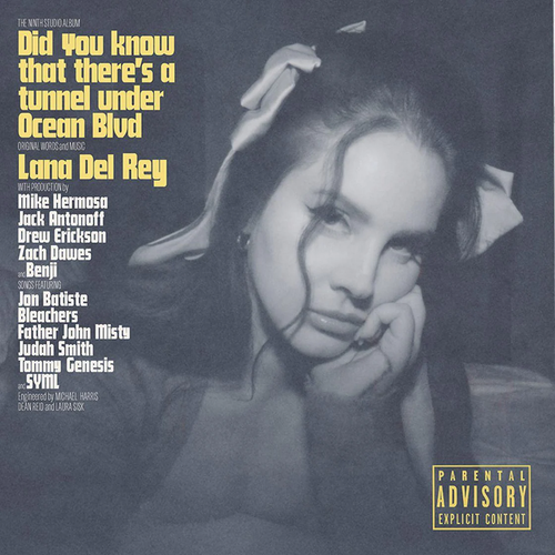 Did You Know That There’s a Tunnel Under Ocean Blvd (Vinyl)