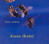 Cover image for Diana Thater: Knots and Surfaces