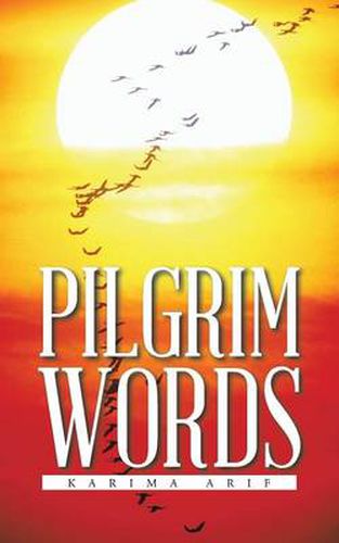 Cover image for Pilgrim Words