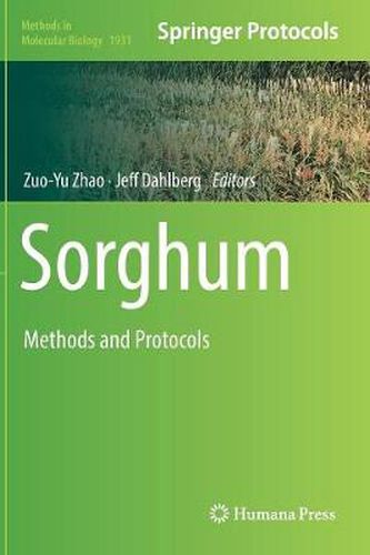 Cover image for Sorghum: Methods and Protocols