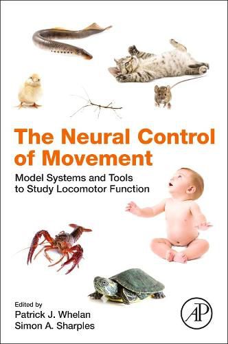 Cover image for The Neural Control of Movement: Model Systems and Tools to Study Locomotor Function