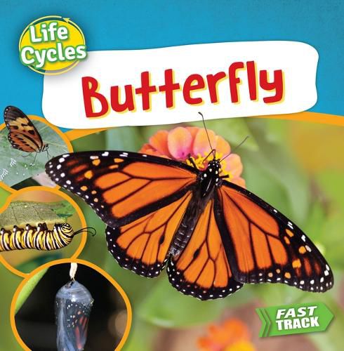 Cover image for Butterfly