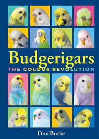 Cover image for Budgerigars