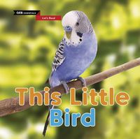 Cover image for This Little Bird
