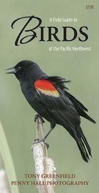 Cover image for A Field Guide to Birds of the Pacific Northwest