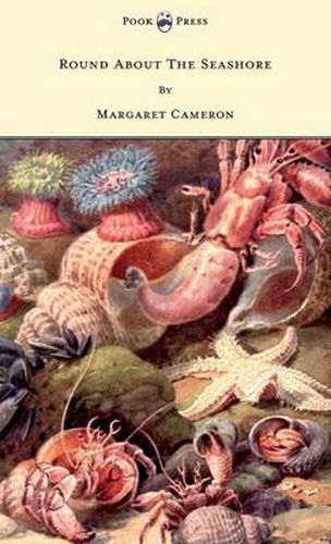 Cover image for Round About The Seashore - With Eight Coloured Pictures