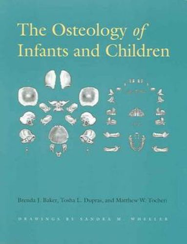 The Osteology of Infants and Children